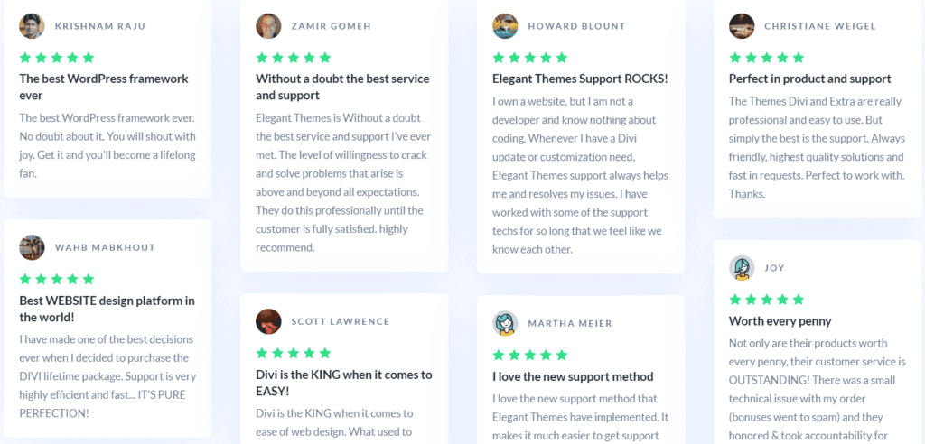 elegant themes reviews